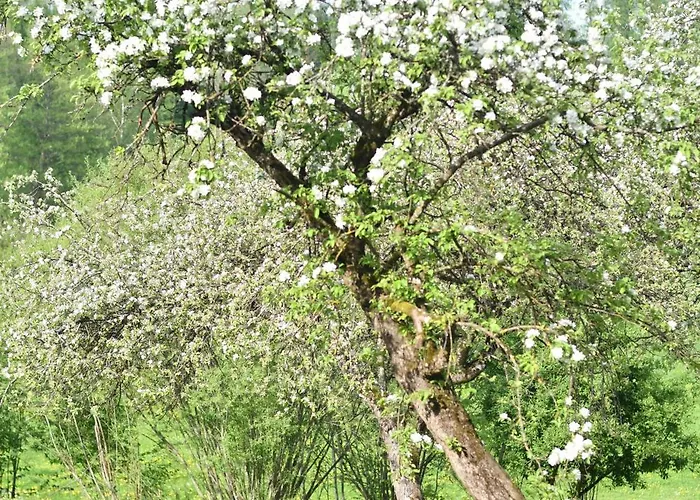 Dom wakacyjny Lipowe Siedlisko