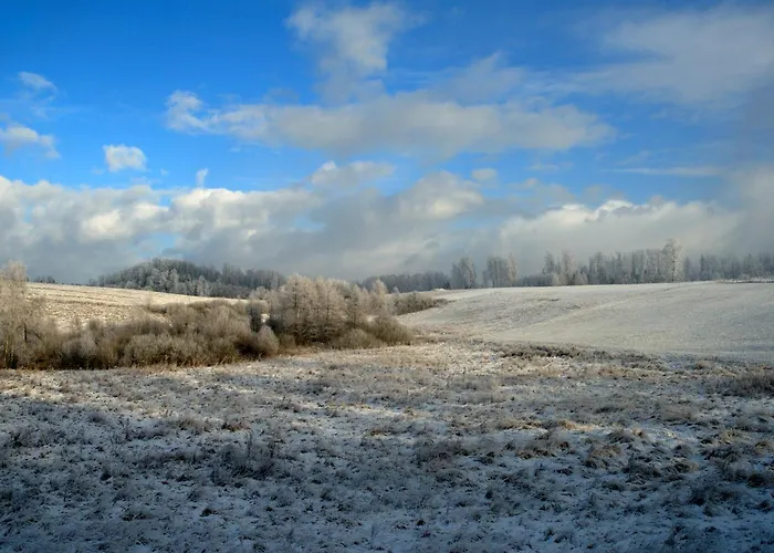 Lipowe Siedlisko Dom wakacyjny *